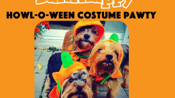 BarkHappy Seattle HOWL-O-Ween Pawty